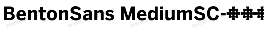 BentonSans MediumSC字体转换